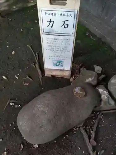 雪ケ谷八幡神社の体験その他