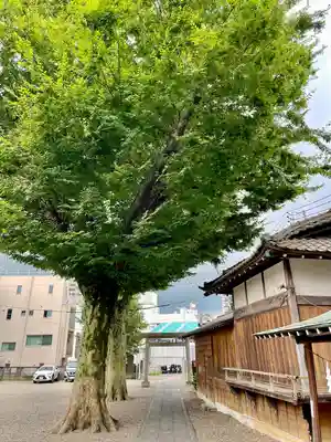 浅間神社(東京都)