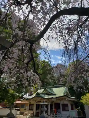 荻窪白山神社(東京都)