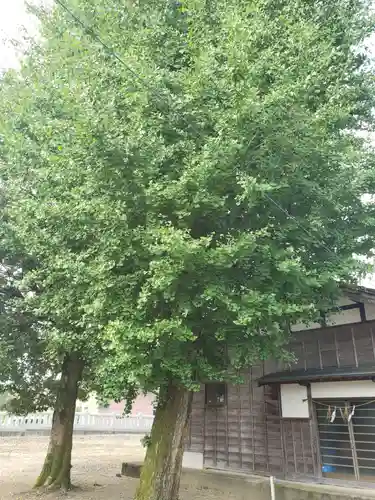 水戸田稲荷神社の本殿