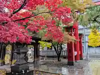 彌彦神社 (伊夜日子神社)の自然