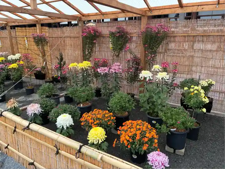 本願寺(西本願寺)(京都府)