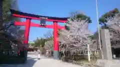 富岡八幡宮の鳥居