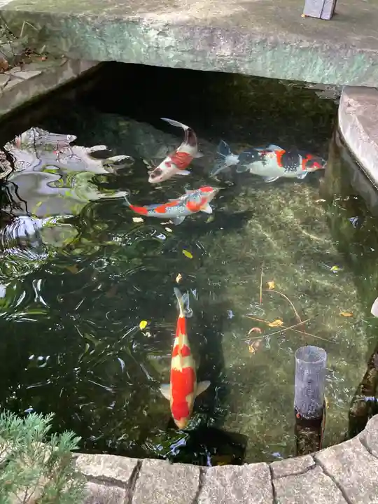 天妙国寺(東京都)