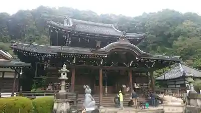 三室戸寺の本殿・本堂