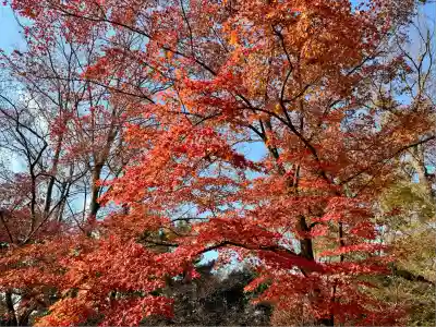 北野天満宮(京都府)