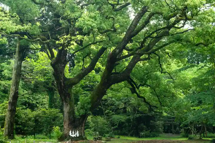 曽許乃御立神社(静岡県)
