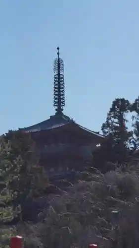 醍醐寺(京都府)