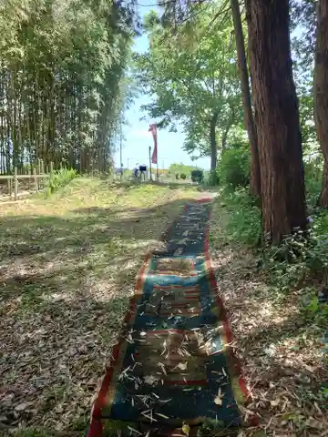 中将姫(神奈川県)