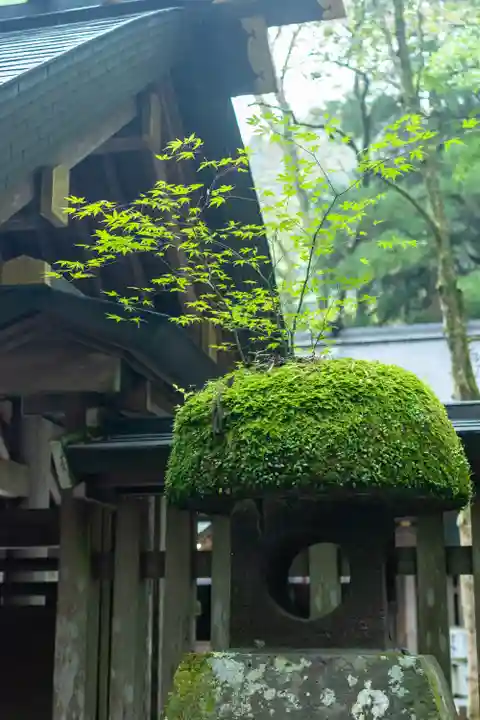 天岩戸神社(宮崎県)
