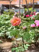 薬師院(兵庫県)