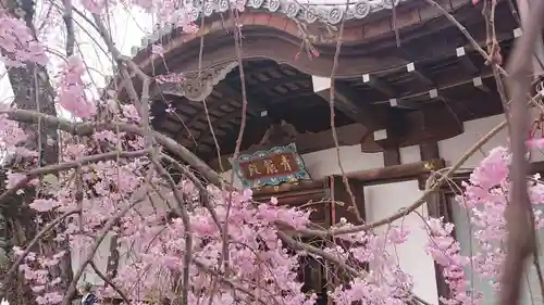 将軍塚青龍殿（青蓮院門跡）の本殿・本堂