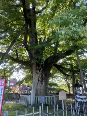 神明宮(石川県)