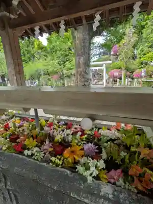 鳩森八幡神社(東京都)