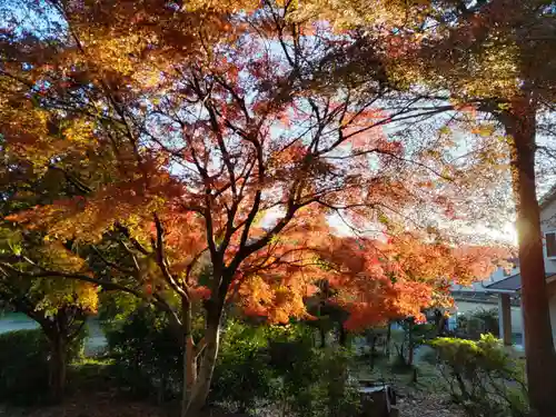 宝光寺の庭園