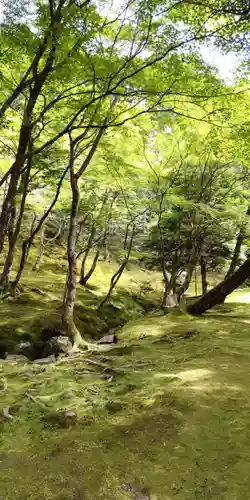 慈照寺（慈照禅寺・銀閣寺）(京都府)