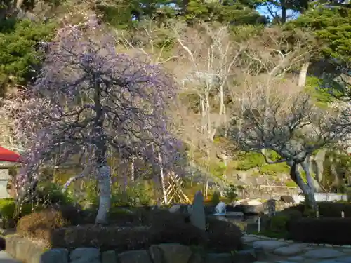 長谷寺の庭園