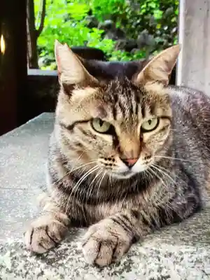 小野照崎神社(東京都)