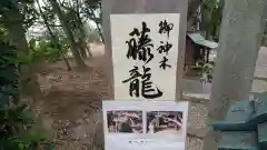 豊藤稲荷神社の建物その他