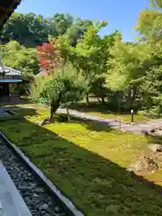 長壽寺（長寿寺）の自然