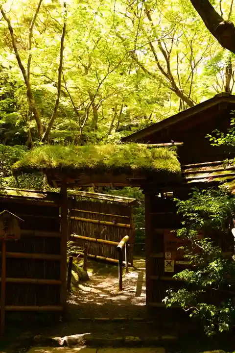 祇王寺(京都府)