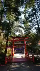 丹生都比売神社の鳥居