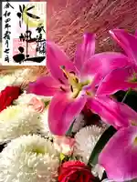 元郷氷川神社の自然