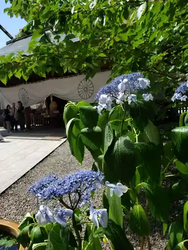 阿佐ヶ谷神明宮(東京都)