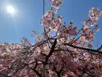 八大龍王辨財天の{uncategorized: "未分類", other: "その他", undefined: "問題あり", building: "その他建物", grave: "お墓", sacred_gate: "鳥居", guardian: "狛犬", statue: "像", buddha: "仏像", history: "歴史", nature: "自然", garden: "庭園", animal: "動物", pagoda: "塔", temizu: "手水舎", mountain_gate: "山門・神門", sanctuary: "本殿・本堂", subordinate: "末社・摂社", art: "芸術", scenery: "景色", jizo: "地蔵", ema: "絵馬", goshuin: "御朱印", omikuji: "おみくじ", items: "授与品その他", amulet: "お守り", goshuincho: "御朱印帳", eats: "食事", festival: "お祭り", votive_dance: "神楽", shichigosan: "七五三参", wedding: "結婚式", experience: "体験その他", initially: "初詣", around: "周辺", anti_infection: "感染症対策"}