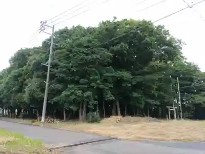 天神社(法花寺町)の自然