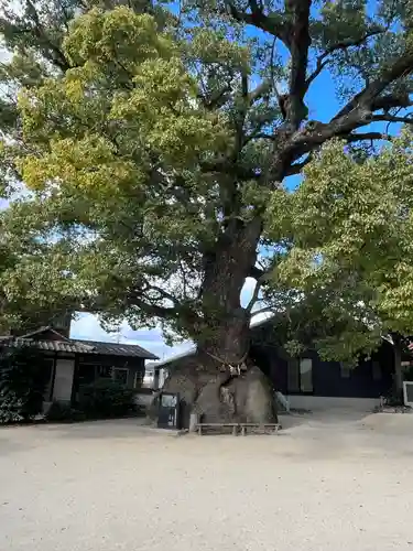 糸碕神社(広島県)
