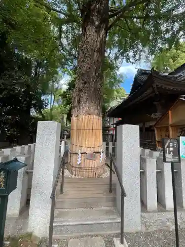 田無神社(東京都)