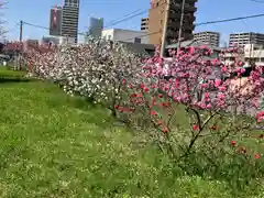 住吉神社(岐阜県)