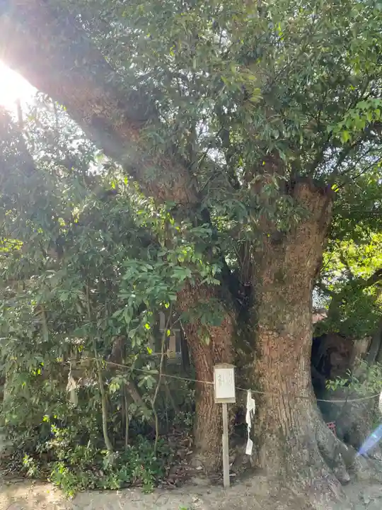 白鳥神社(香川県)