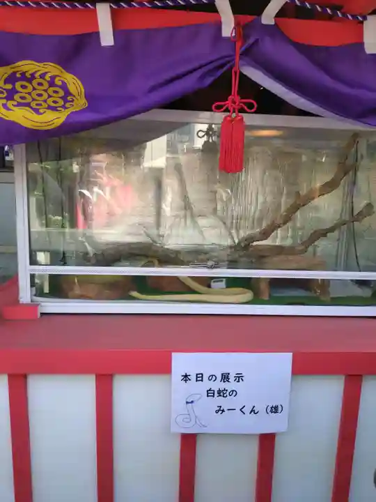 蛇窪神社(東京都)