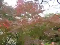 瑞松庵(山口県)