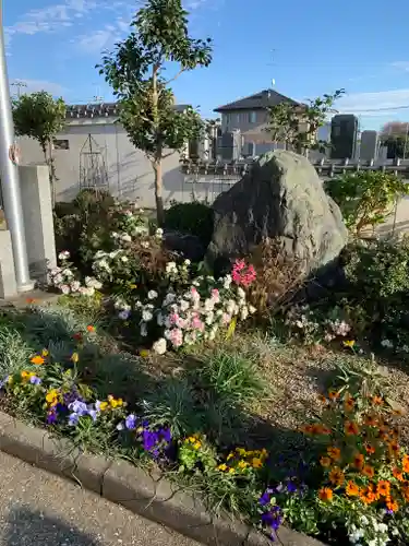 泉竜寺(乙女不動尊)の庭園