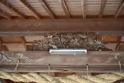 医家神社(徳島県)