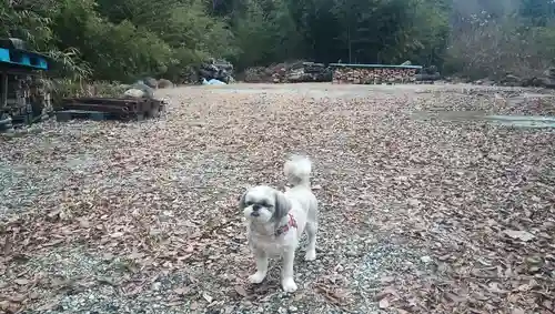 玄浄院(山梨県)