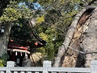 比々多神社(神奈川県)