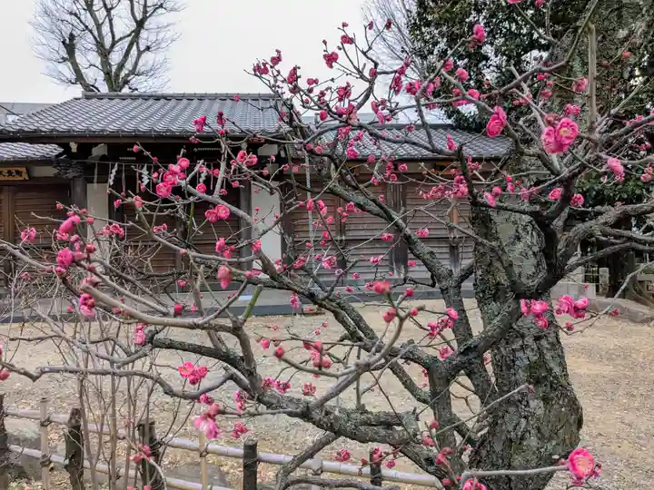西向天神社(東京都)