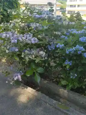 坂本神社(宮城県)