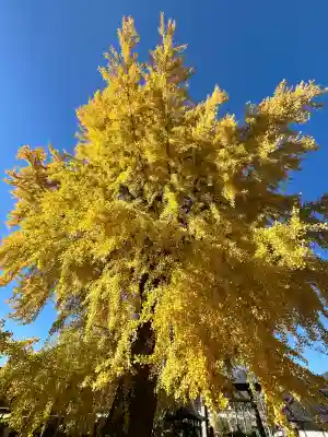 丹生酒殿神社(和歌山県)