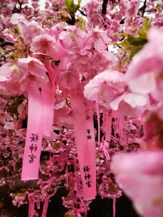 桜神宮(東京都)