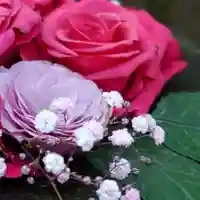 帯廣神社の芸術