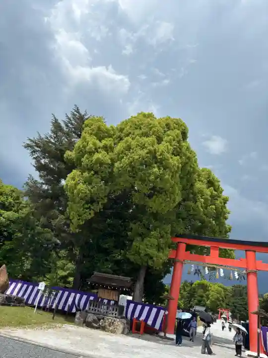 賀茂別雷神社(上賀茂神社)の{uncategorized: "未分類", other: "その他", undefined: "問題あり", building: "その他建物", grave: "お墓", sacred_gate: "鳥居", guardian: "狛犬", statue: "像", buddha: "仏像", history: "歴史", nature: "自然", garden: "庭園", animal: "動物", pagoda: "塔", temizu: "手水舎", mountain_gate: "山門・神門", sanctuary: "本殿・本堂", subordinate: "末社・摂社", art: "芸術", scenery: "景色", jizo: "地蔵", ema: "絵馬", goshuin: "御朱印", omikuji: "おみくじ", items: "授与品その他", amulet: "お守り", goshuincho: "御朱印帳", eats: "食事", festival: "お祭り", votive_dance: "神楽", shichigosan: "七五三参", wedding: "結婚式", experience: "体験その他", initially: "初詣", around: "周辺", anti_infection: "感染症対策"}