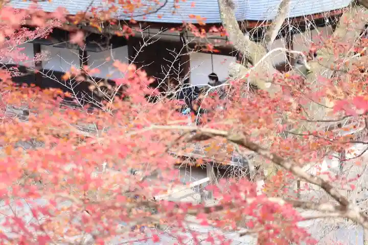 天龍寺(京都府)