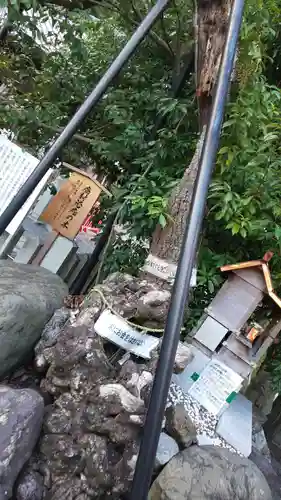 稗田野神社(薭田野神社)(京都府)