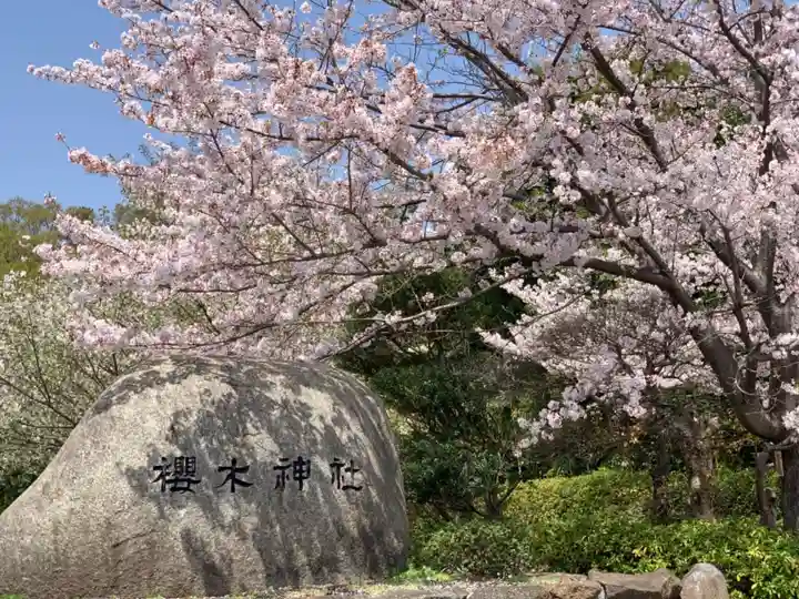 櫻木神社の自然