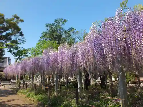 三大神社のその他建物